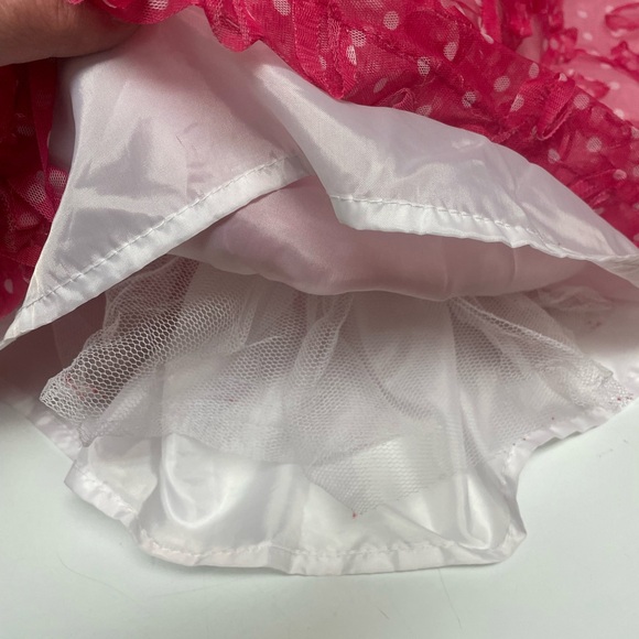 Blueberi Boulevard Girls Dress💕Pink roses with a white underskirt💐EUC🌹Size 6X - Picture 3 of 7